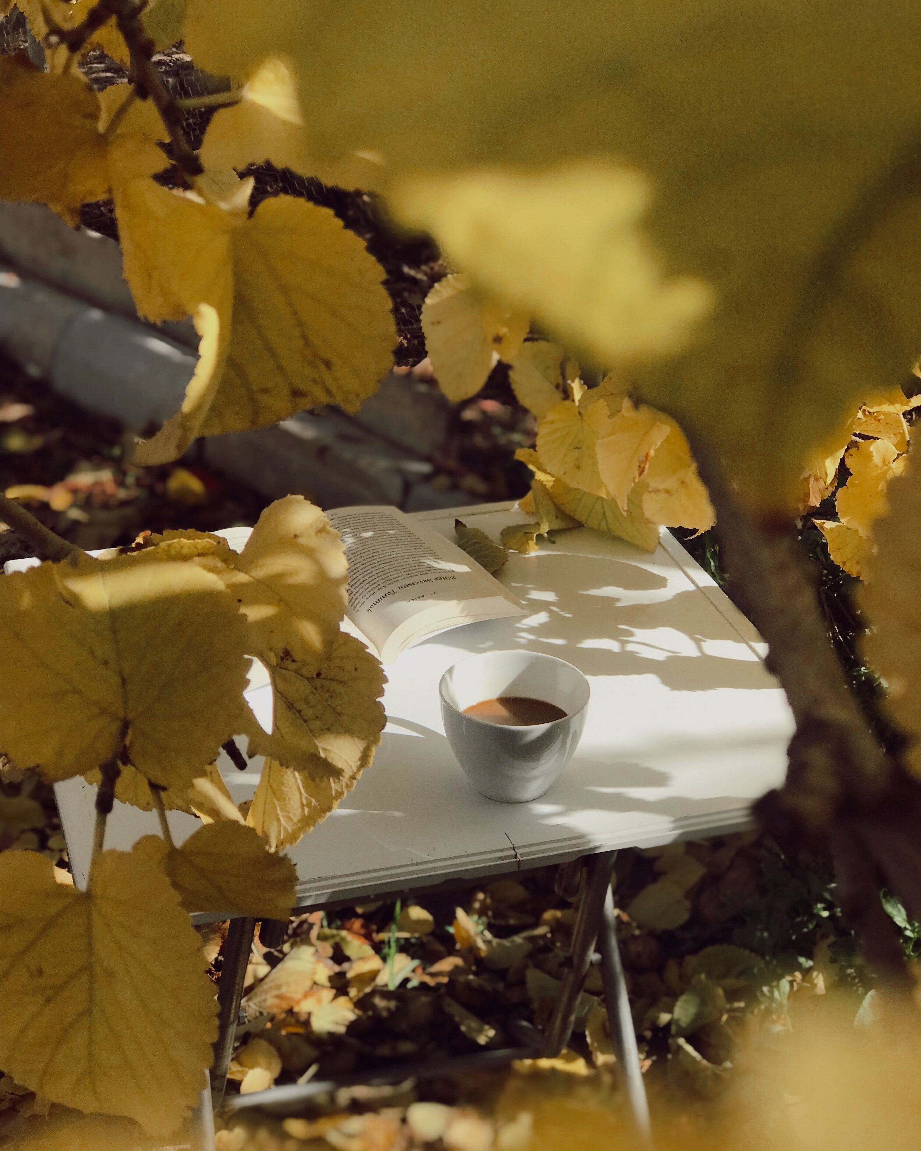Book coffee leaves pexels 13481106
