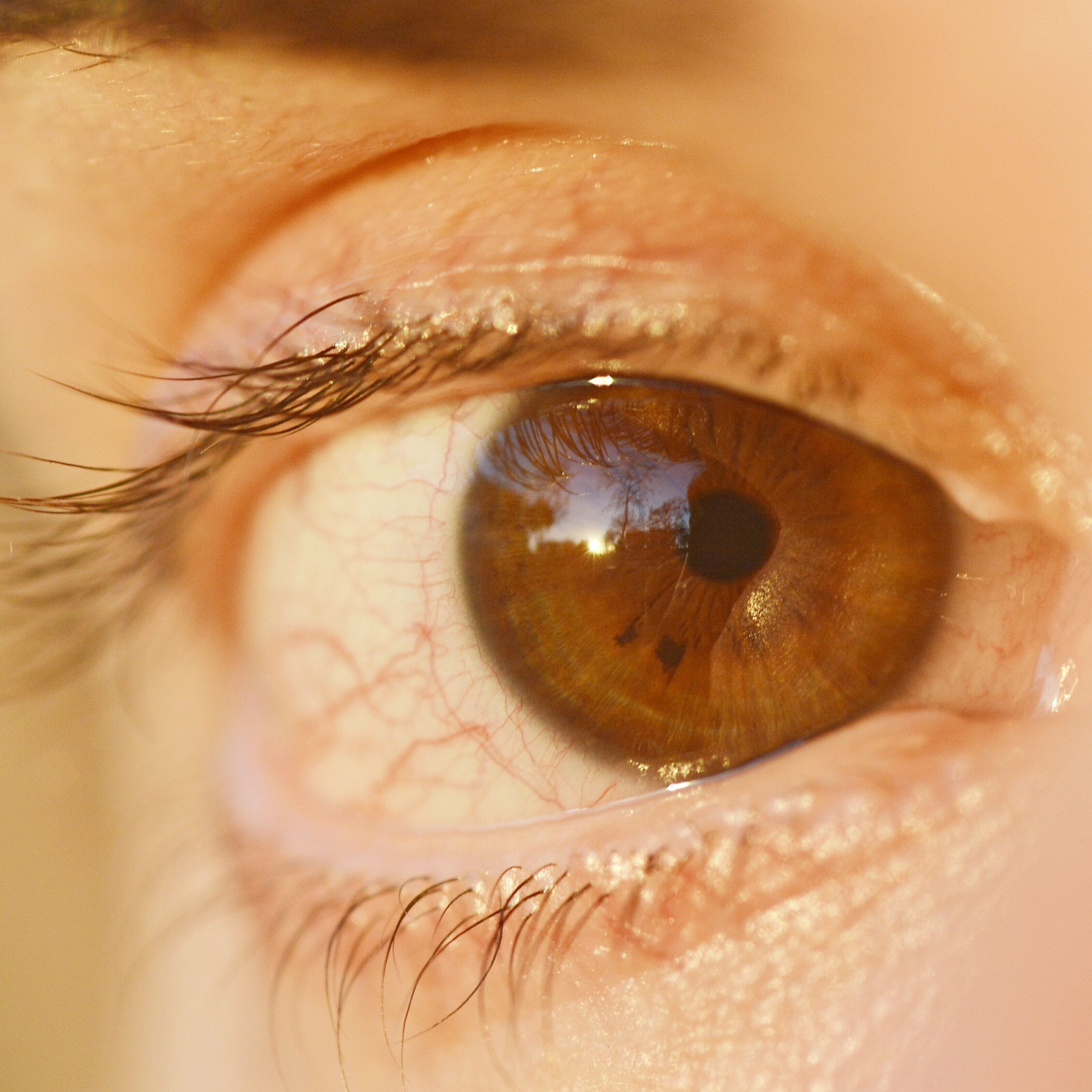 Close up of eye with veins
