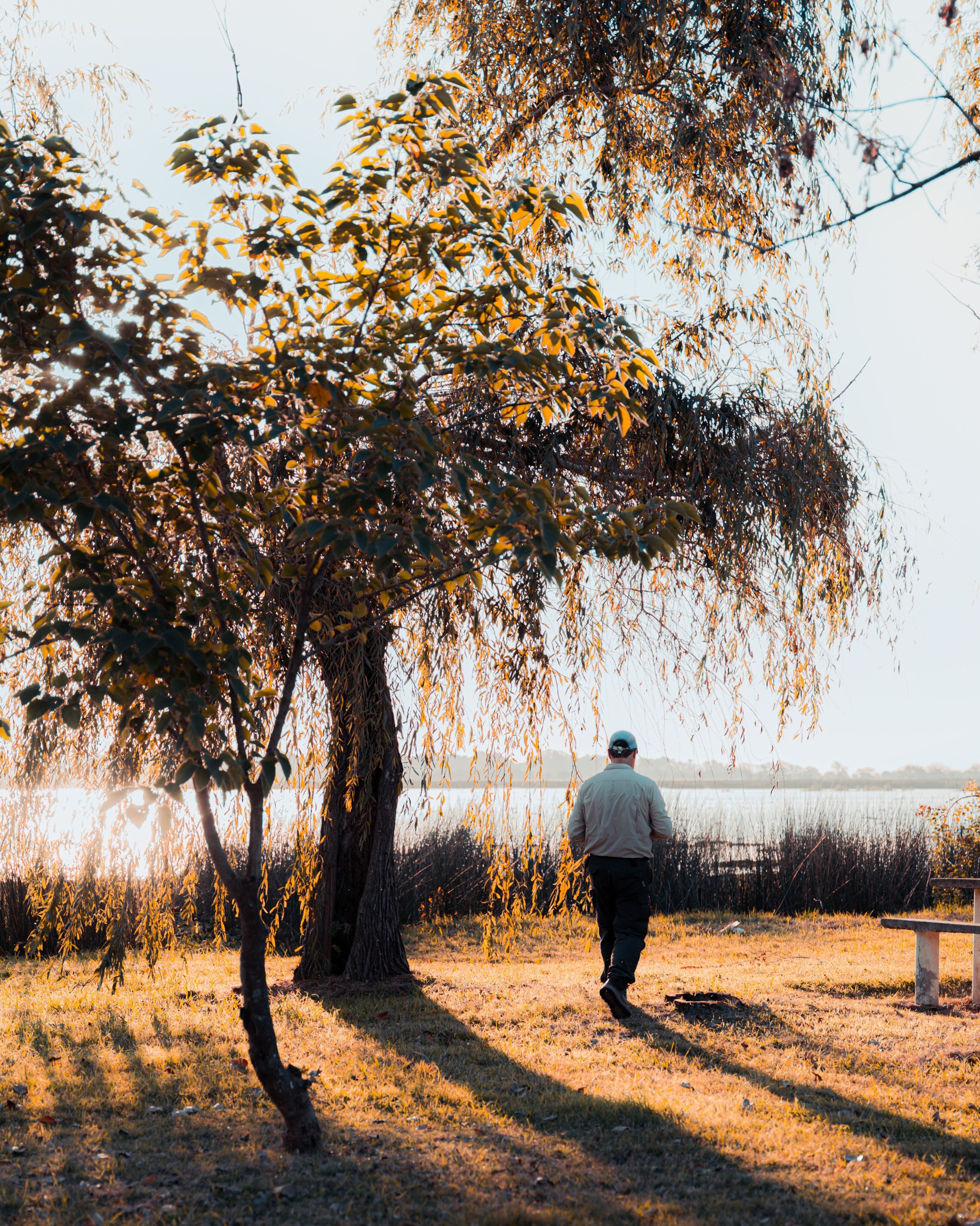 Man walks passed a lake park