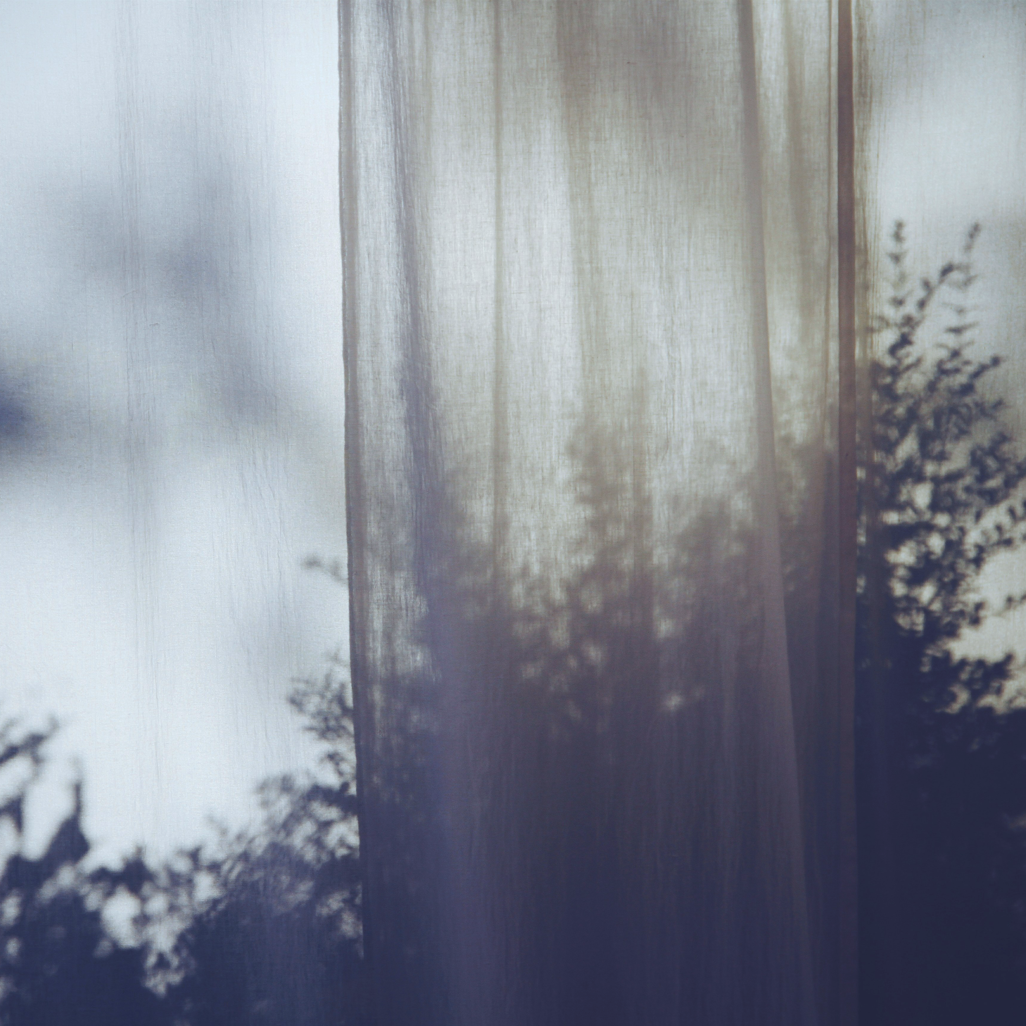 Morning Light Through Curtains