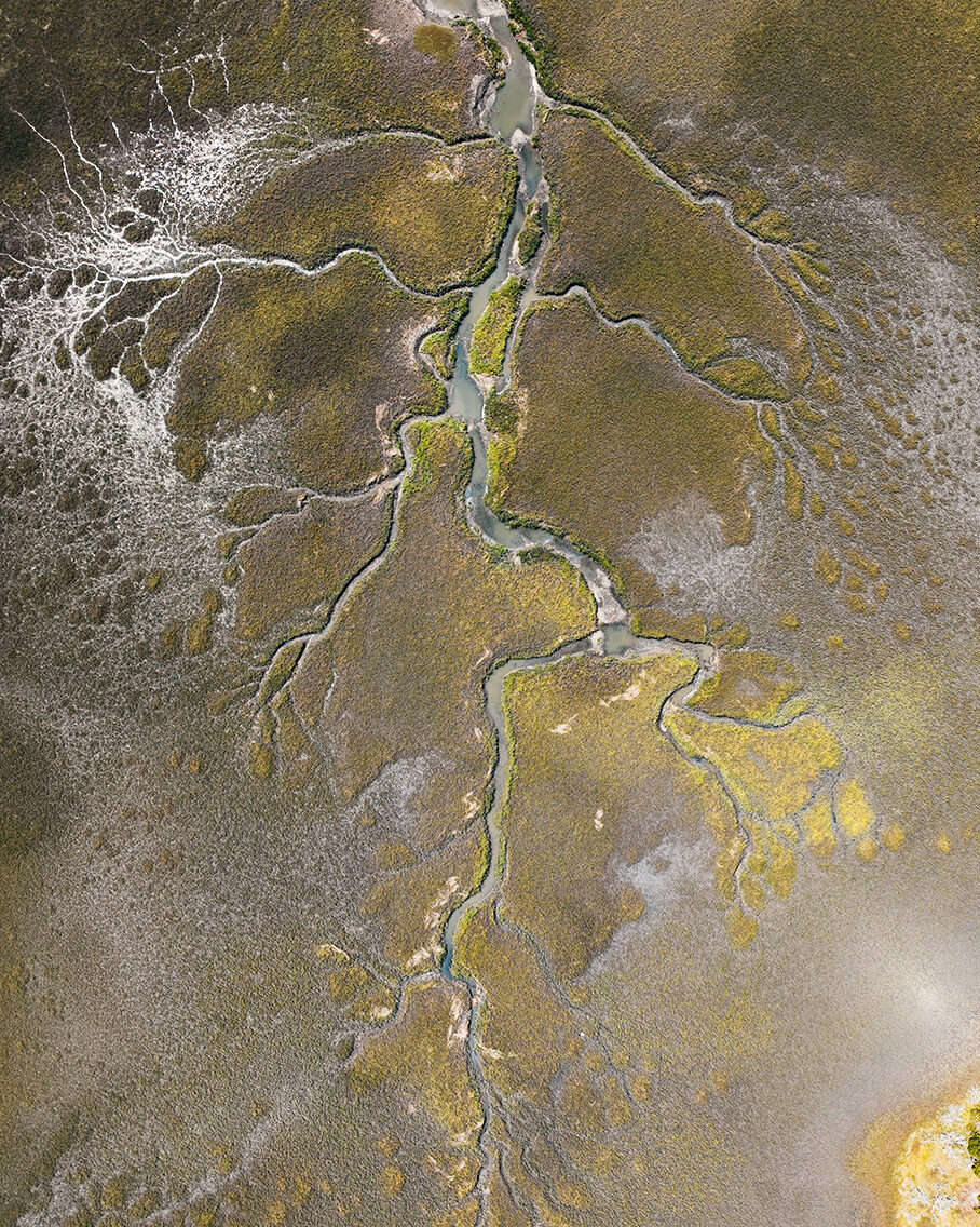 Rivers meandering veinlike small cc