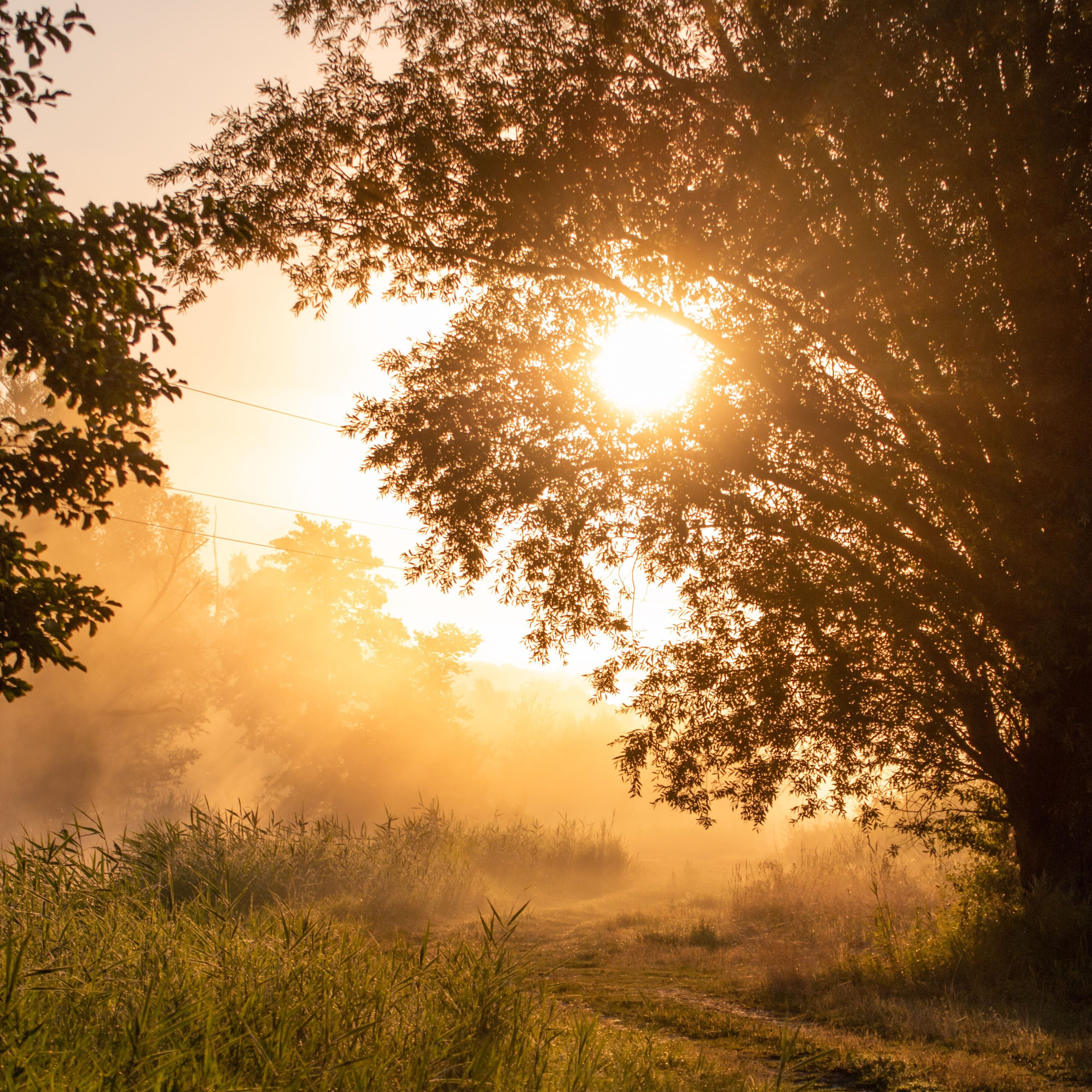 Sunrise landscape pexels 14214263