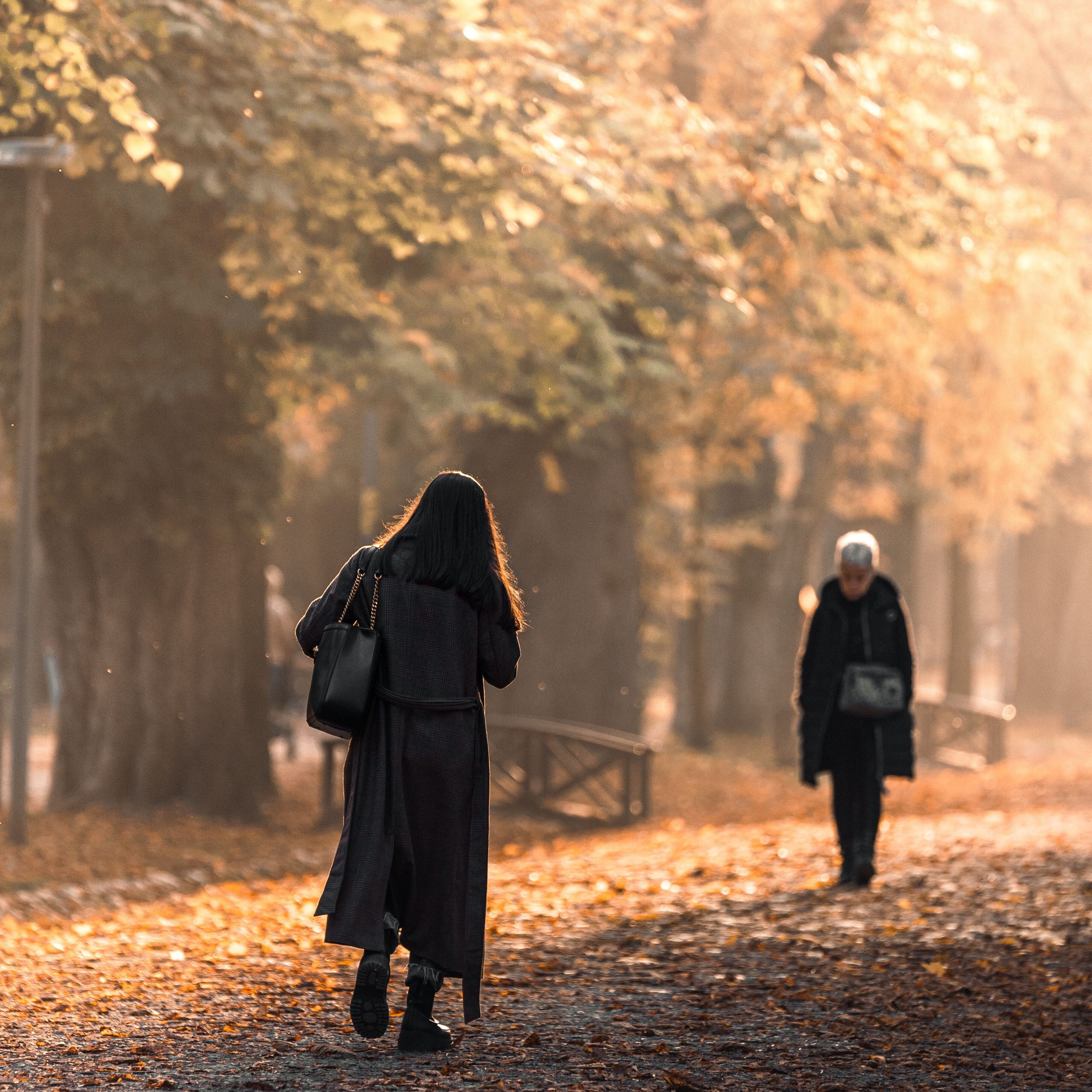 Two people walking in fall park morning